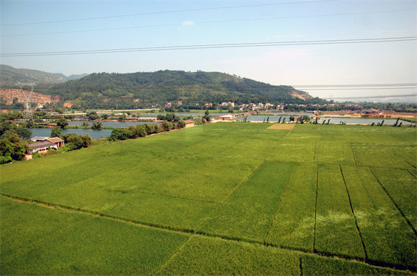 管理咨詢?nèi)绾沃η暹h(yuǎn)企業(yè)解決發(fā)展難題？