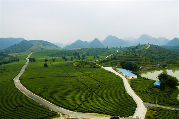 清遠(yuǎn)營(yíng)銷咨詢公司深挖需求，如何為品牌打造直擊消費(fèi)痛點(diǎn)的賣點(diǎn)？