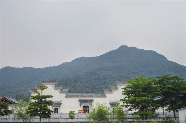 子公司各自為戰(zhàn)內(nèi)耗大，佛山集團管控咨詢公司有何整合之道？